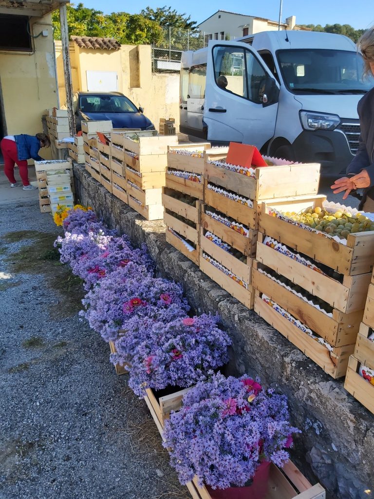 distribution gaia fleurs